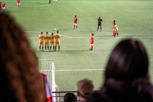 场新星的培 场新星的培